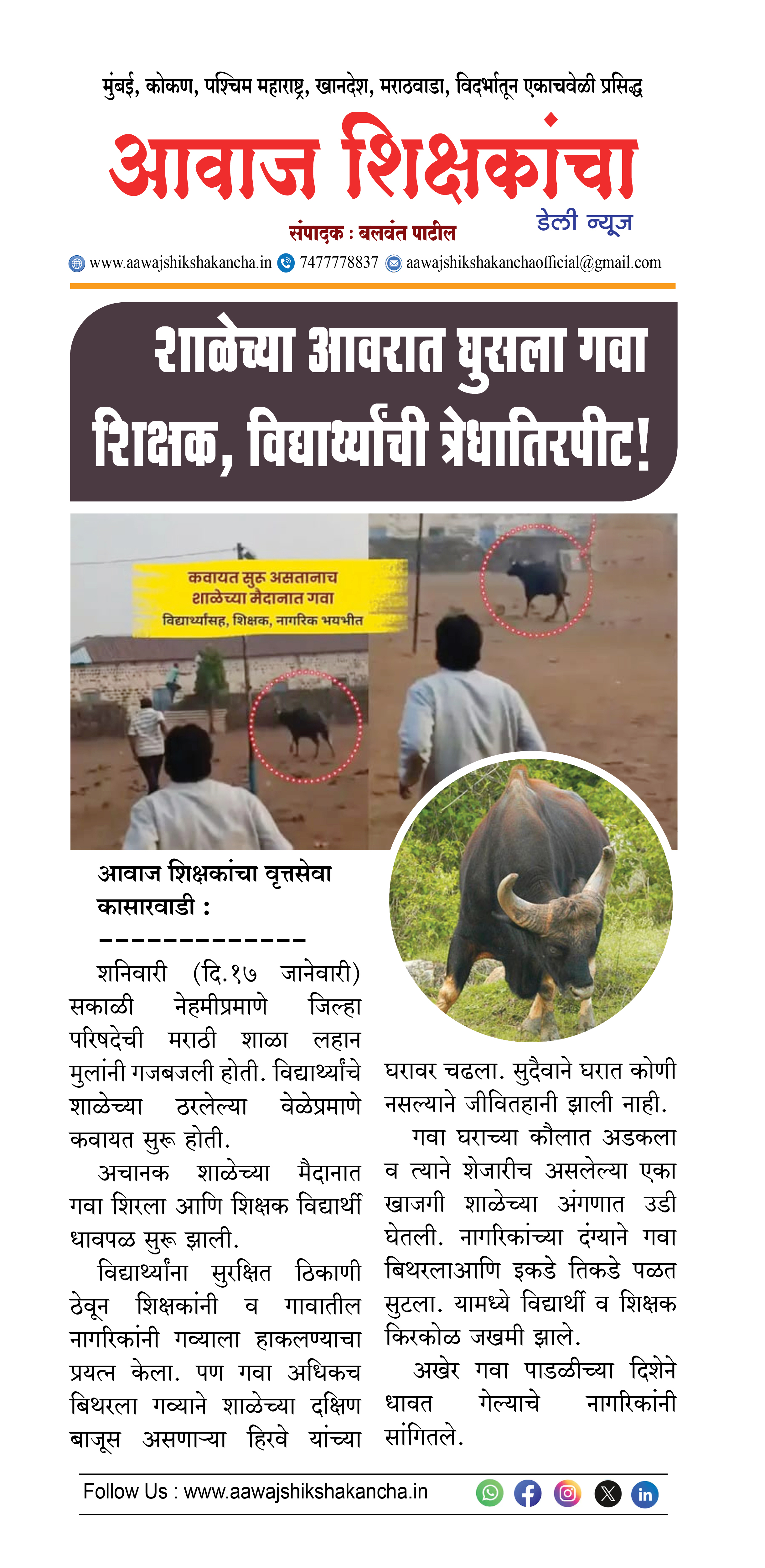 शाळेच्या आवरात घुसला गवा शिक्षक, विद्यार्थ्यांची त्रेधातिरपीट !